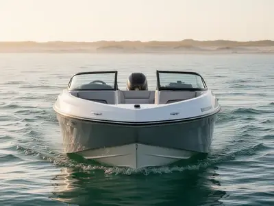 2024 Bayliner DX 2000