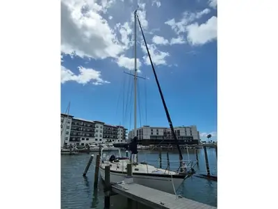 Morgan 384