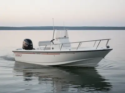 1996 Boston Whaler 17