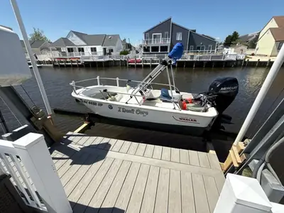 2017 Boston Whaler SPORT 110