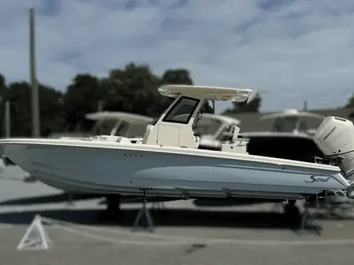 Scout 281 XSS