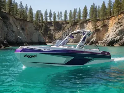 2022 Tige' 24 RZX
