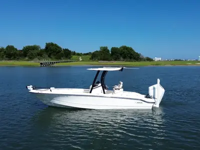 2025 Boston Whaler 250 Dauntless
