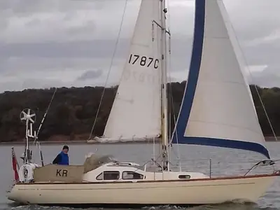 Ericson 29