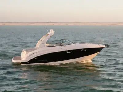 2009 Chaparral 270 Signature