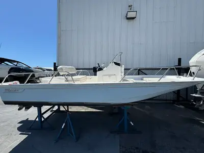 2020 Boston Whaler 150 Montauk