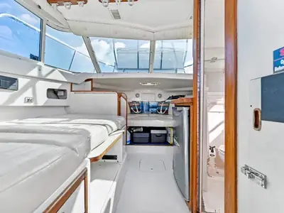Blackfin FLYBRIDGE 29