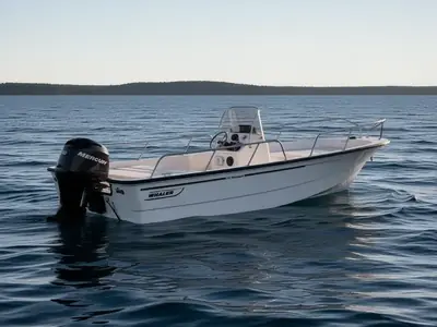 2011 Boston Whaler MONTAUK 170