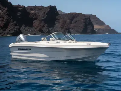 2011 Triumph 191 FS