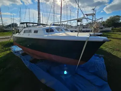Prout 35 Snowgoose