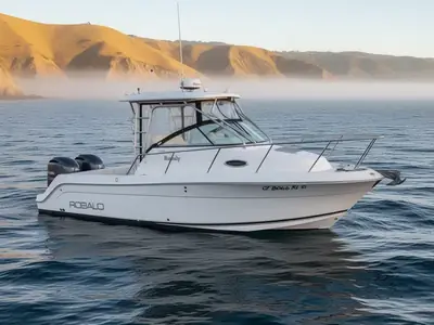2006 Robalo 245 WALKAROUND