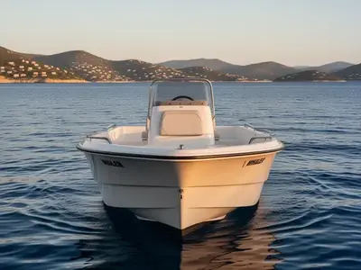 2017 Boston Whaler SUPER SPORT 150