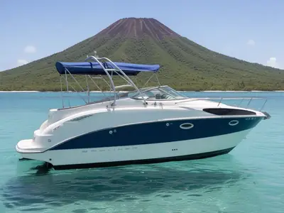 2006 Bayliner 265