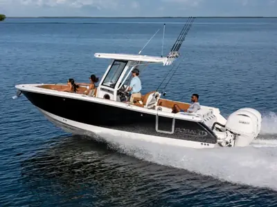 Robalo R250