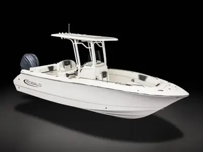 Robalo R230