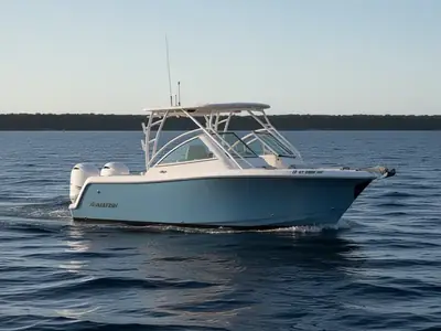 2026 Sailfish 245 DC