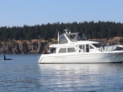 Navigator CLASSIC 53