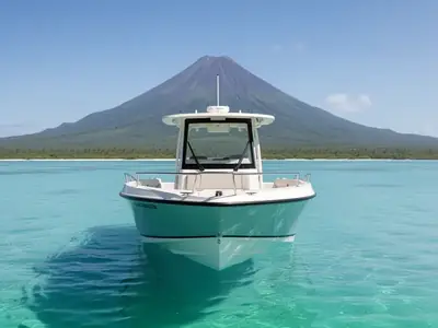 2018 Boston Whaler 230