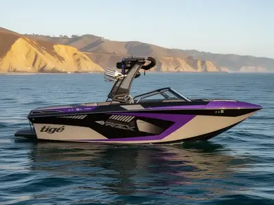 2019 Tige' 20 RZX