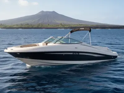 2007 Sea Ray 210 SELECT