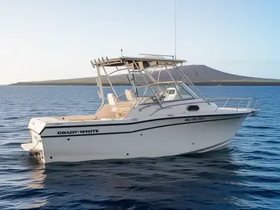 2001 Grady White 265 EXPRESS