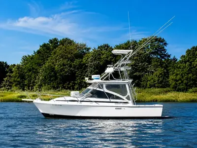 Blackfin COMBI 29