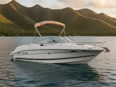 Sea Ray 230 OVERNIGHTER