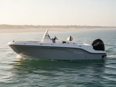 2024 Bayliner Corp T20CC