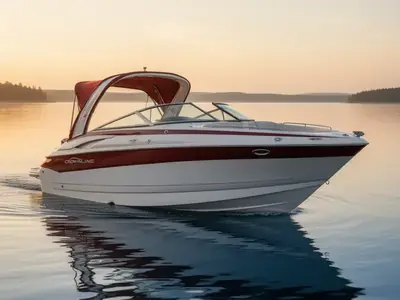 2009 Crownline 300 LS