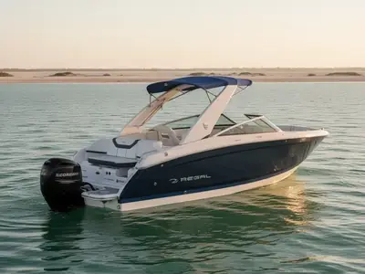 2018 Regal 22 FASDECK