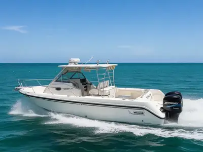 Boston Whaler 290