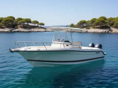 Pursuit C 200 CENTER CONSOLE