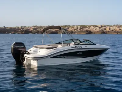 2017 Sea Ray SPX 190 Outboard