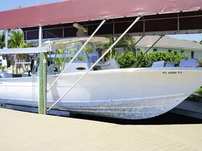 Cobia 320
