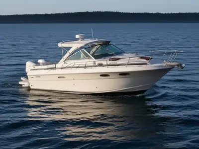 1988 Sea Ray 270 AMBERJACK