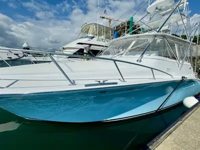 Cabo Rico CAMBRIA 40