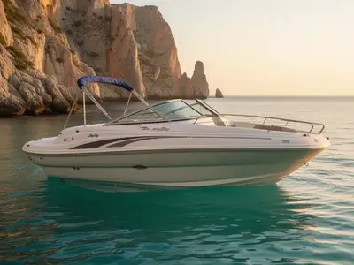 2004 Sea Ray 200 SUNDECK