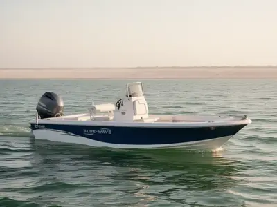 2018 Blue Wave 2200 Pure Bay