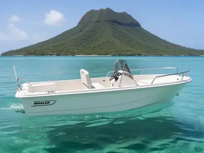 2019 Boston Whaler 160 Super Sport
