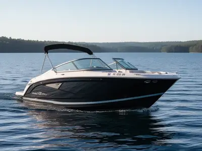 2018 Regal 22 FASDECK