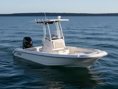 2017 Boston Whaler 210