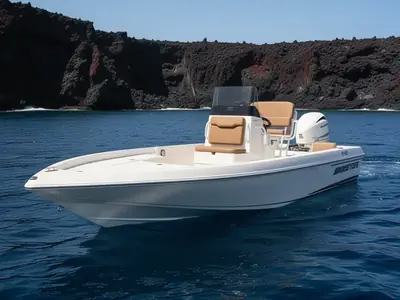 2026 Skeeter Products SX230
