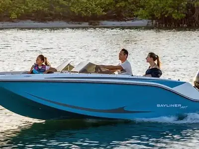 Bayliner Element M17