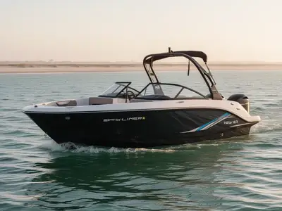 2026 Bayliner V20i