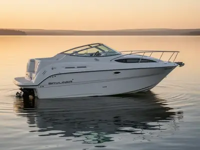 2010 Bayliner Corp 245