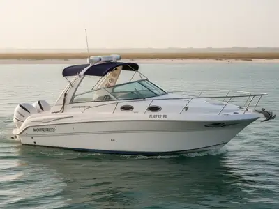 2005 Monterey 302 Cruiser