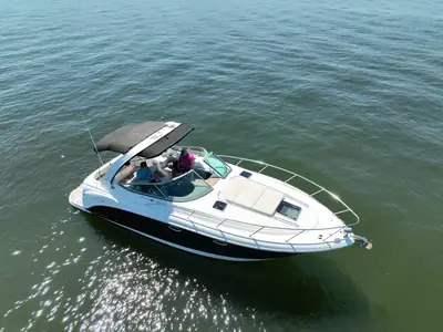 2009 Chaparral 310 Signature