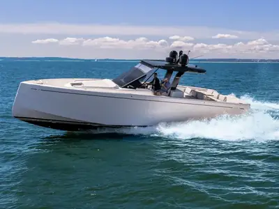 Pardo 43
