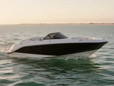 2019 Scarab 165 ID