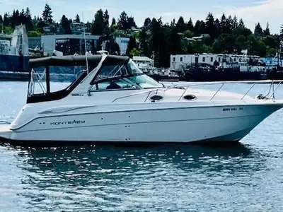 Monterey 302 Cruiser